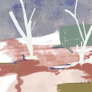 Tranquil Lake (design options)