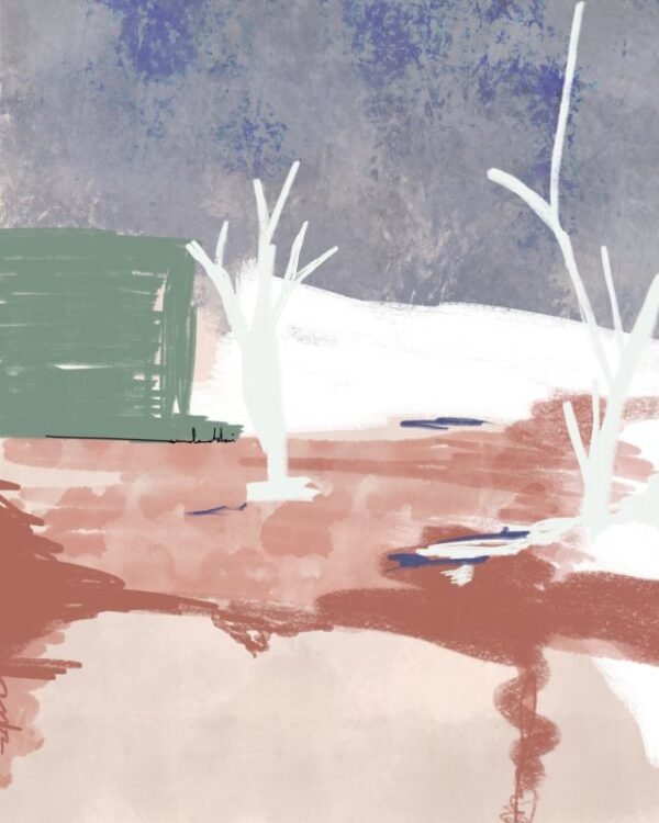 Tranquil Lake (design options)